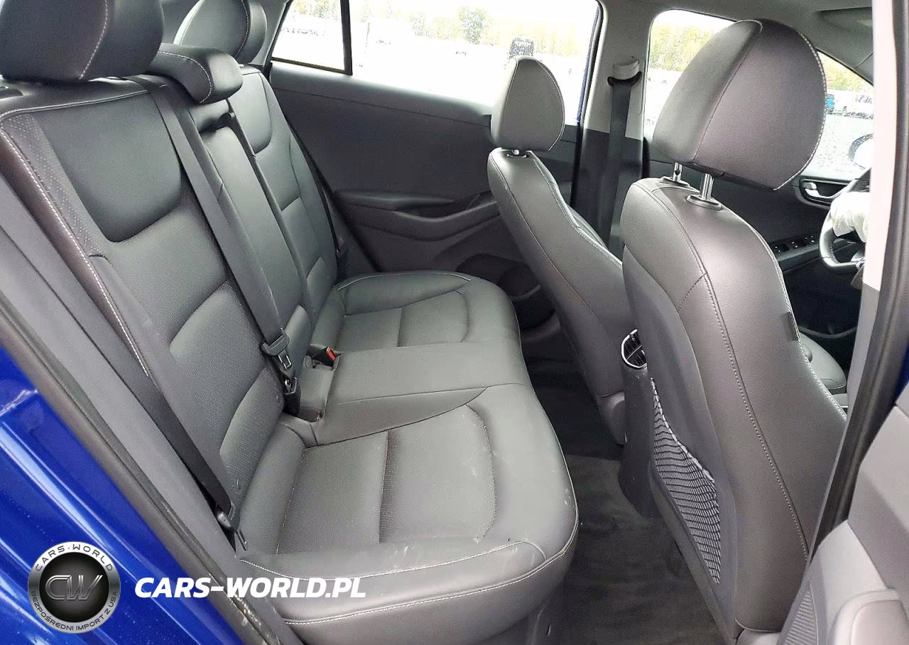 2019 Hyundai Ioniq Limited VIN:KMHC05LC1KU129680 - 10