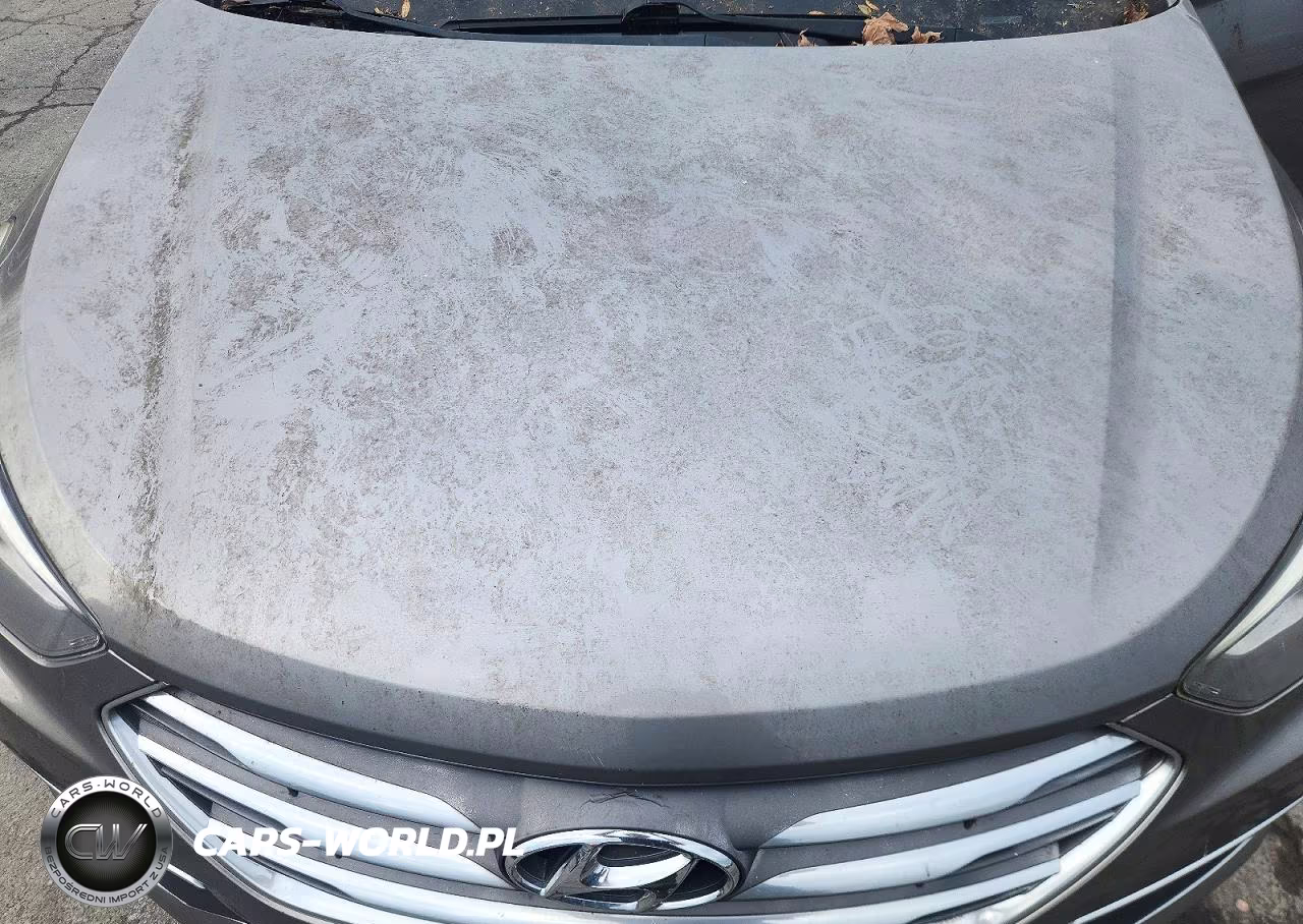 2018 Hyundai Santa Fe Sport 2.4L VIN:5NMZTDLB5JH106755 - 12