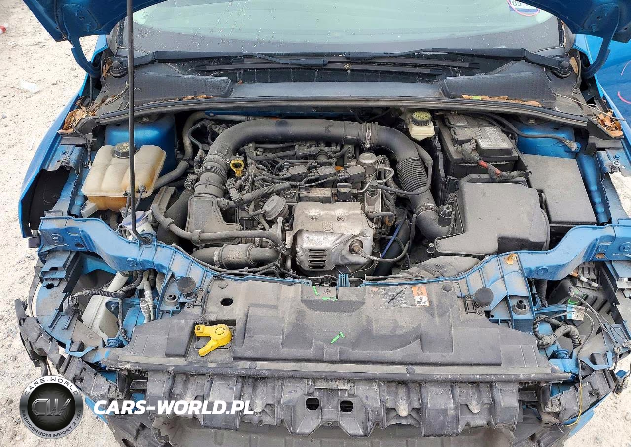 2017 Ford Focus Se VIN:1FADP3FE5HL214127 - 11