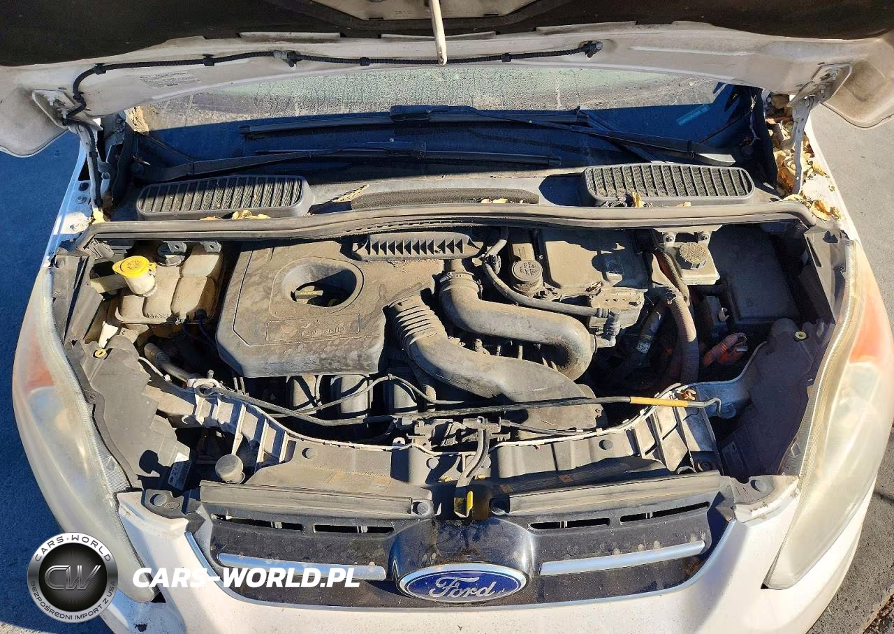 2013 Ford C-Max Premium VIN:1FADP5CU7DL516567 - 11