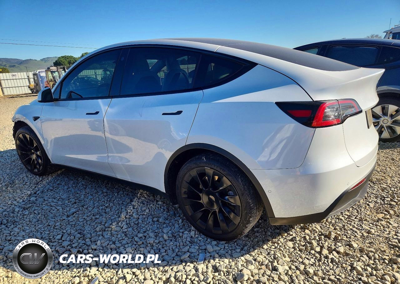 2021 Tesla Model Y VIN:5YJYGAEEXMF157566 - 2