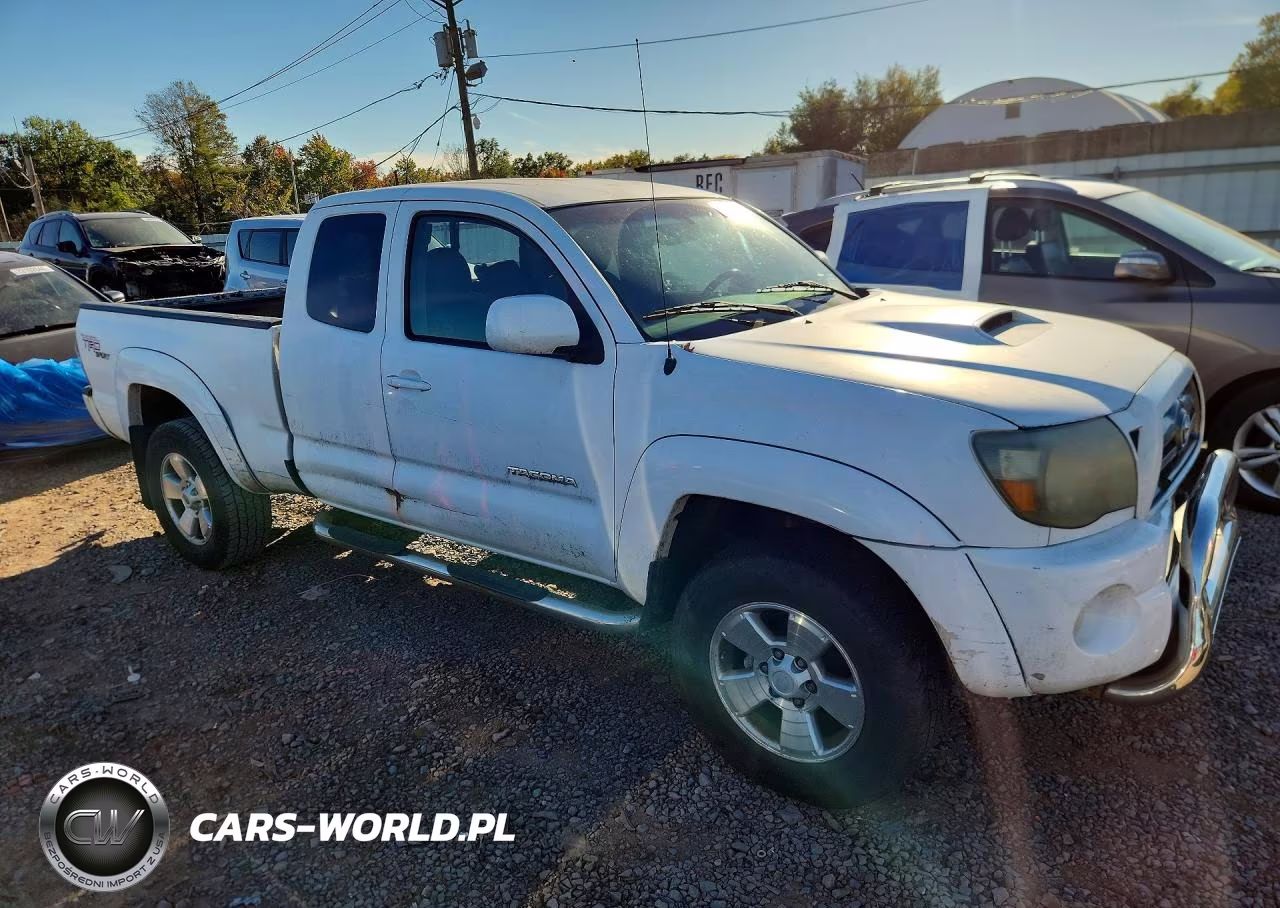 2010 Toyota Tacoma V6 VIN:5TEUU4EN6AZ689643 - 4