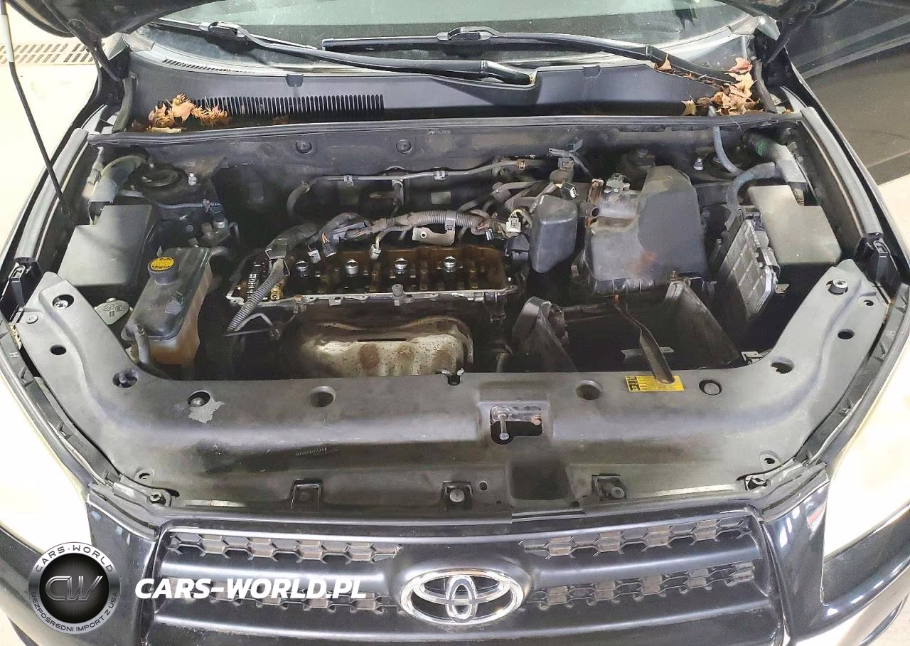 2009 Toyota Rav4 Base VIN:JTMBF33V79D003306 - 12