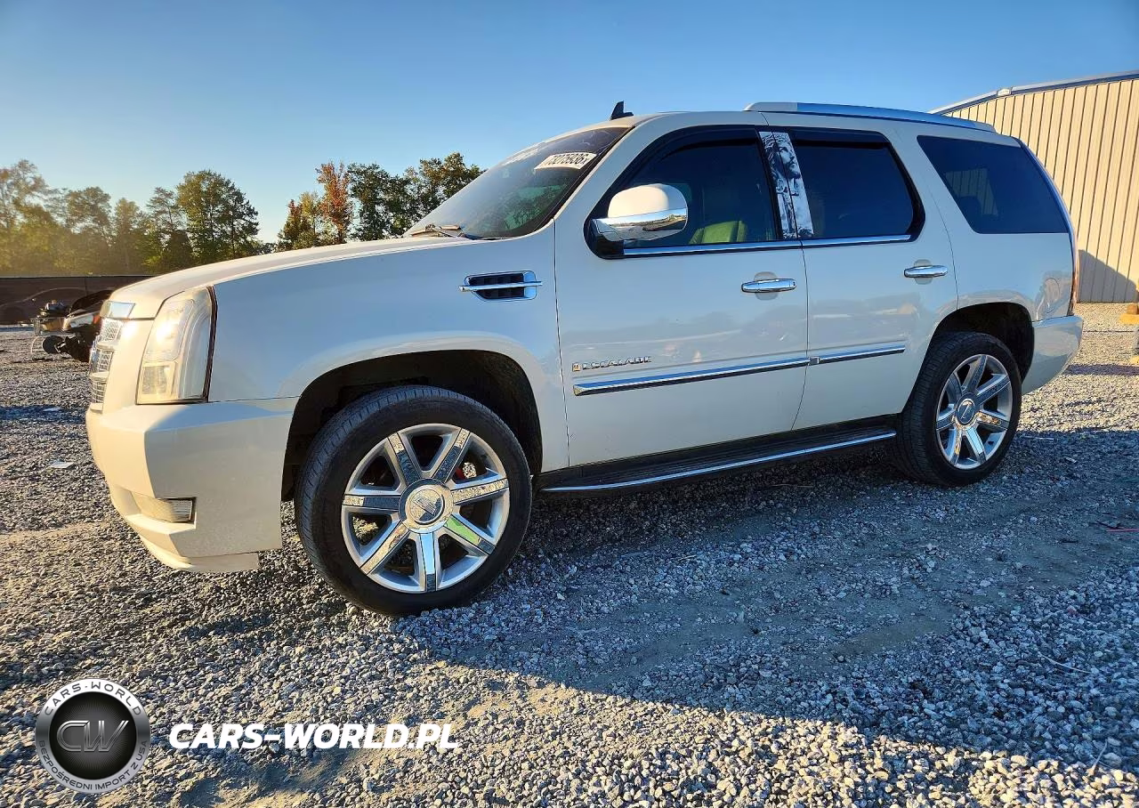 2009 Cadillac Escalade Luxury VIN:1GYFK23239R286605 - 1