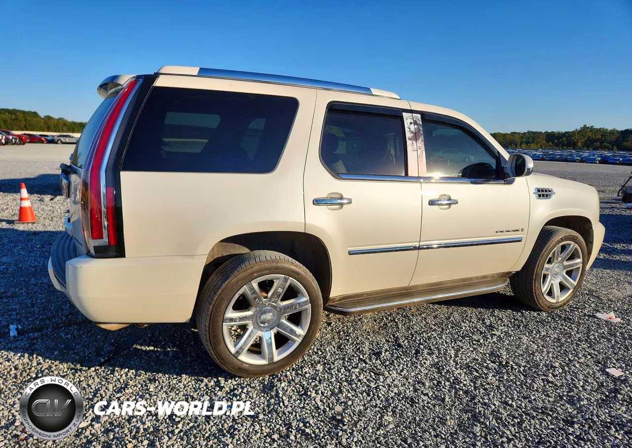 2009 Cadillac Escalade Luxury VIN:1GYFK23239R286605 - 3