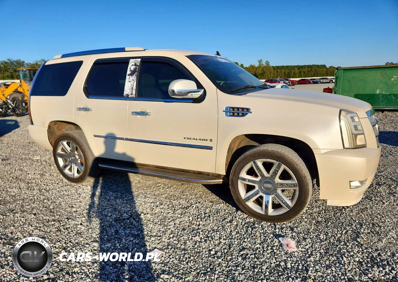 2009 Cadillac Escalade Luxury VIN:1GYFK23239R286605 - 4