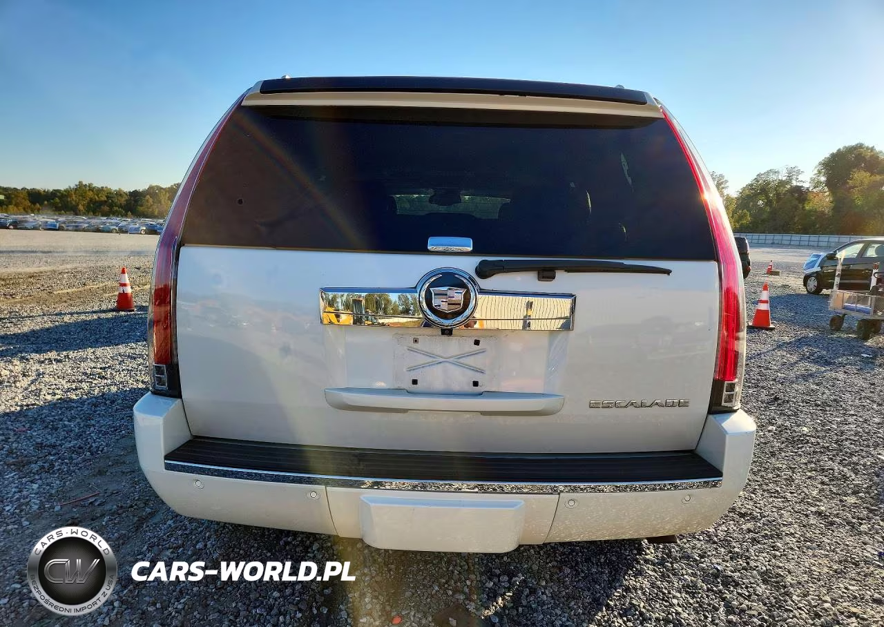2009 Cadillac Escalade Luxury VIN:1GYFK23239R286605 - 6