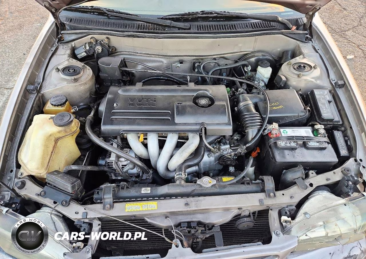 2000 Toyota Corolla Ve VIN:1NXBR12E0YZ408804 - 11