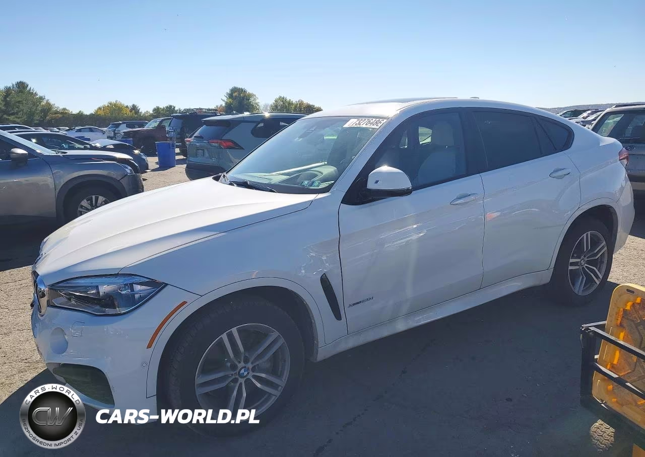 2015 BMW X6 xDrive50I VIN:5UXKU6C58F0F93897 - 1