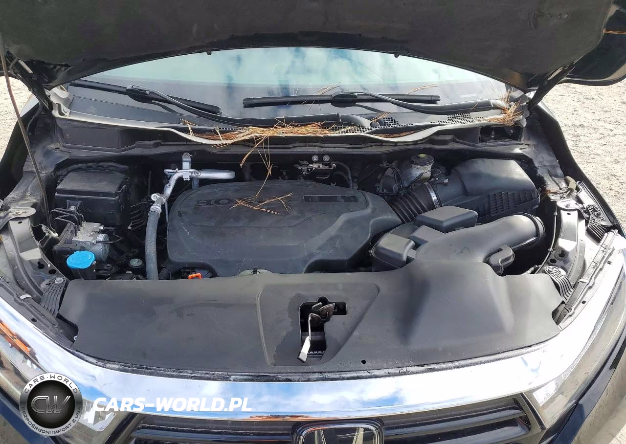 2024 Honda Odyssey Sport VIN:5FNRL6H7XRB056156 - 12