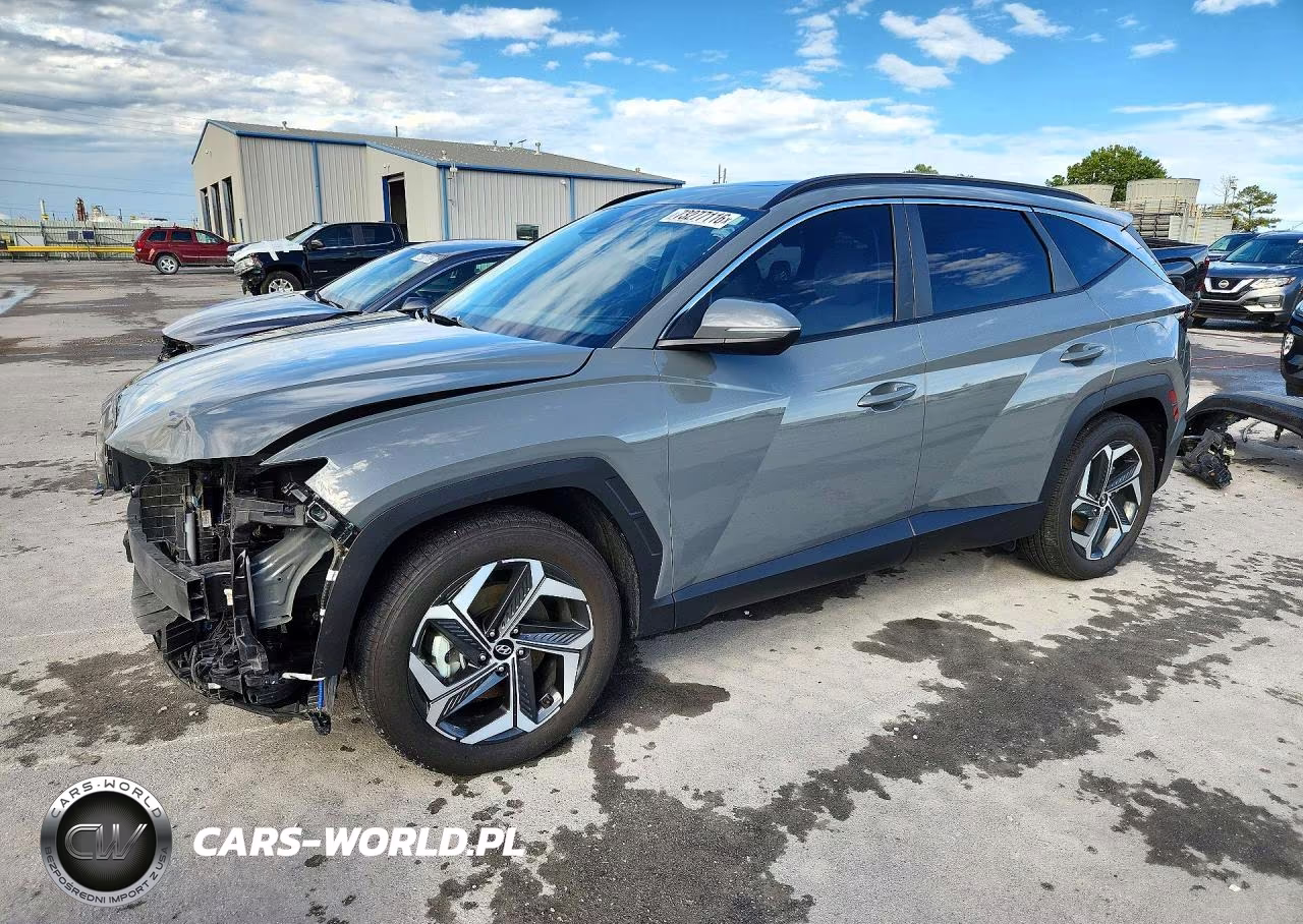 2024 Hyundai Tucson Sel VIN:5NMJF3DE4RH317707 - 1
