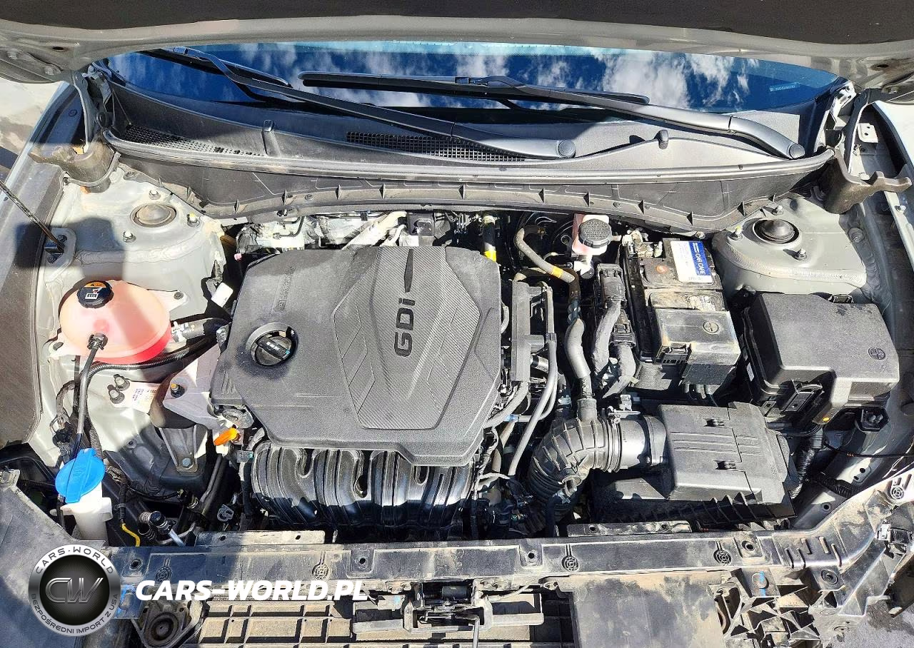 2024 Hyundai Tucson Sel VIN:5NMJF3DE4RH317707 - 12