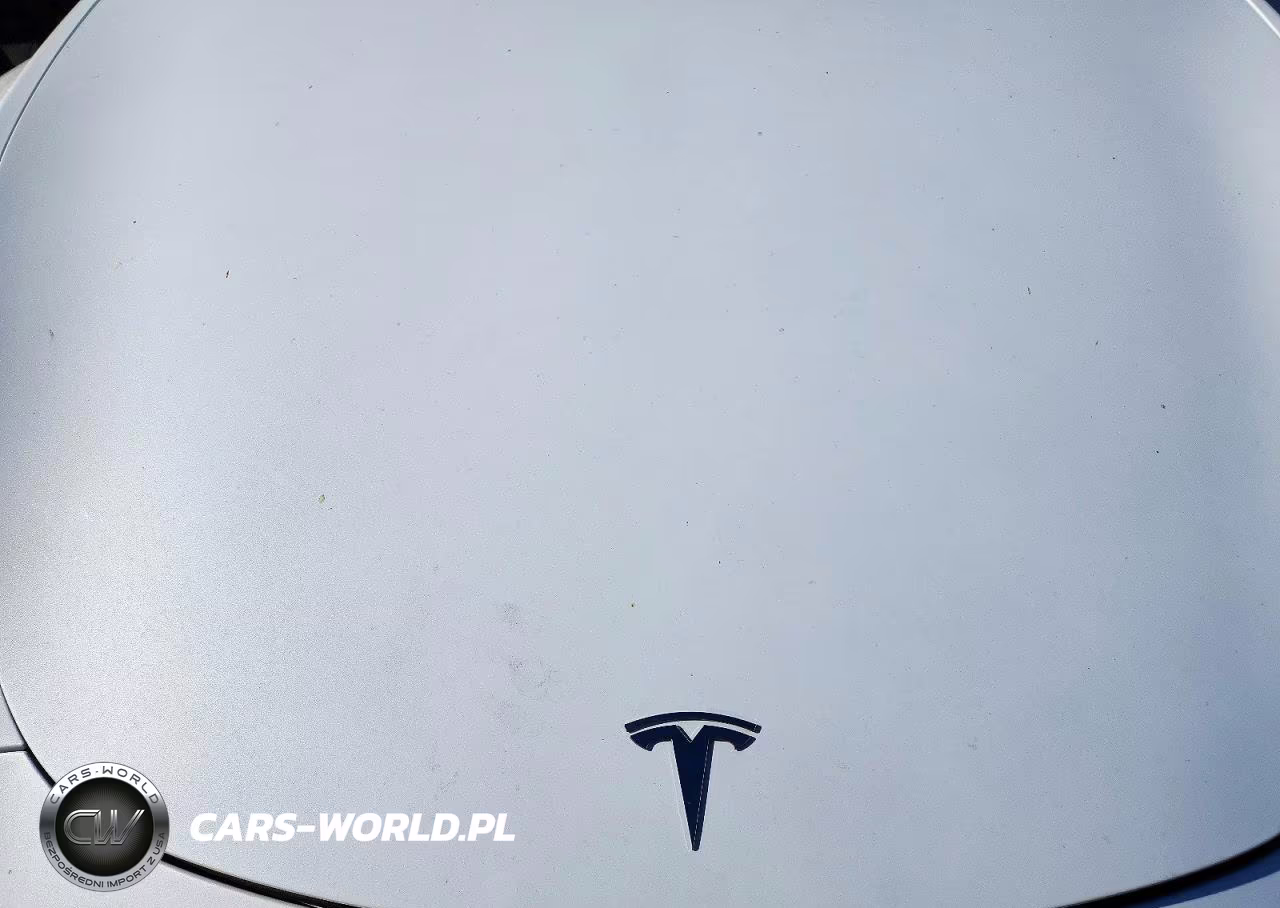 2023 Tesla Model Y VIN:7SAYGDEE6PA093399 - 12