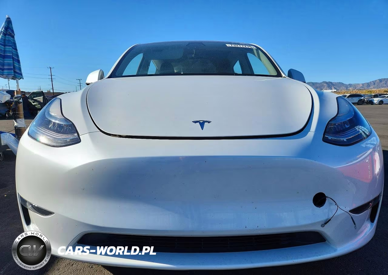 2023 Tesla Model Y VIN:7SAYGDEE6PA093399 - 5