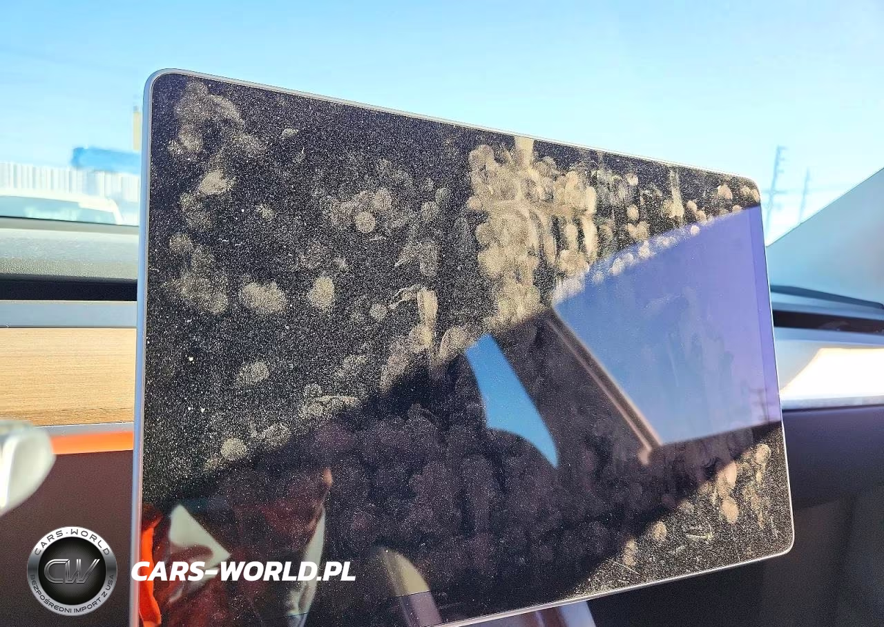 2023 Tesla Model Y VIN:7SAYGDEE6PA093399 - 9