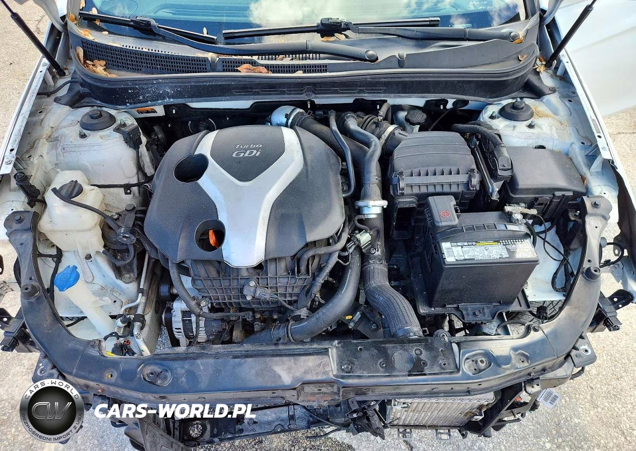 2014 Hyundai Sonata Limited 2.0T VIN:5NPEC4ABXEH836896 - 11