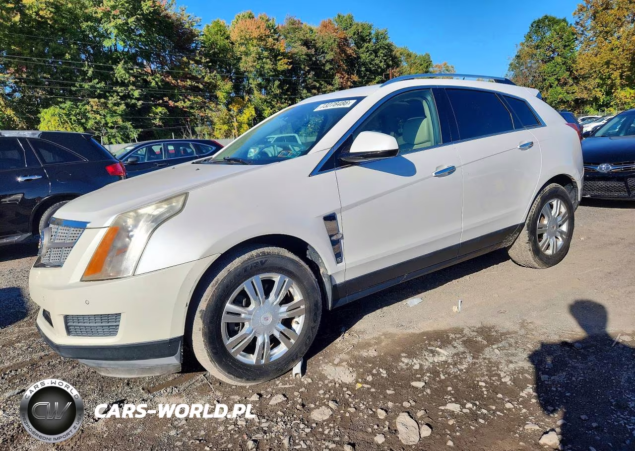 2010 Cadillac Srx Luxury Collection VIN:3GYFNDEY4AS559363 - 1