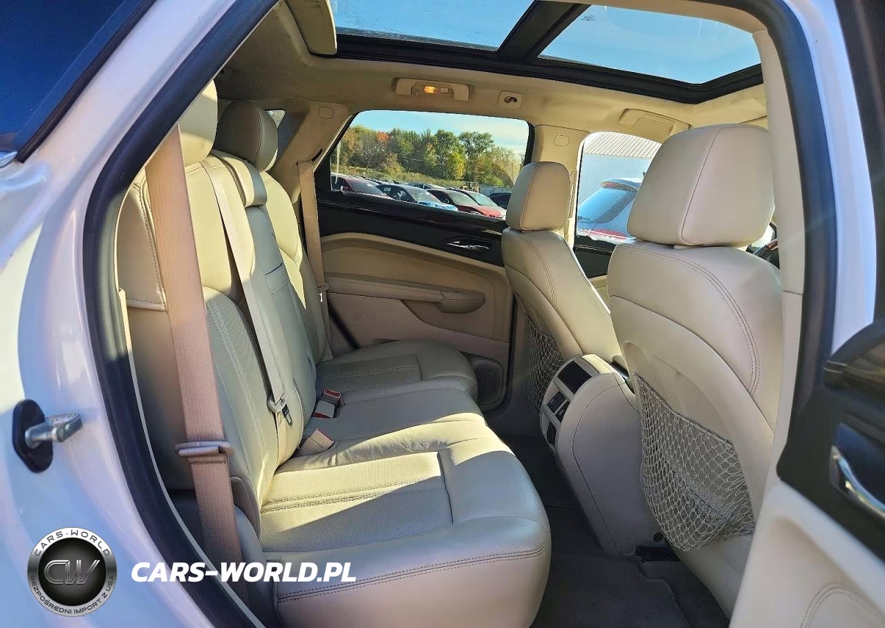 2010 Cadillac Srx Luxury Collection VIN:3GYFNDEY4AS559363 - 11
