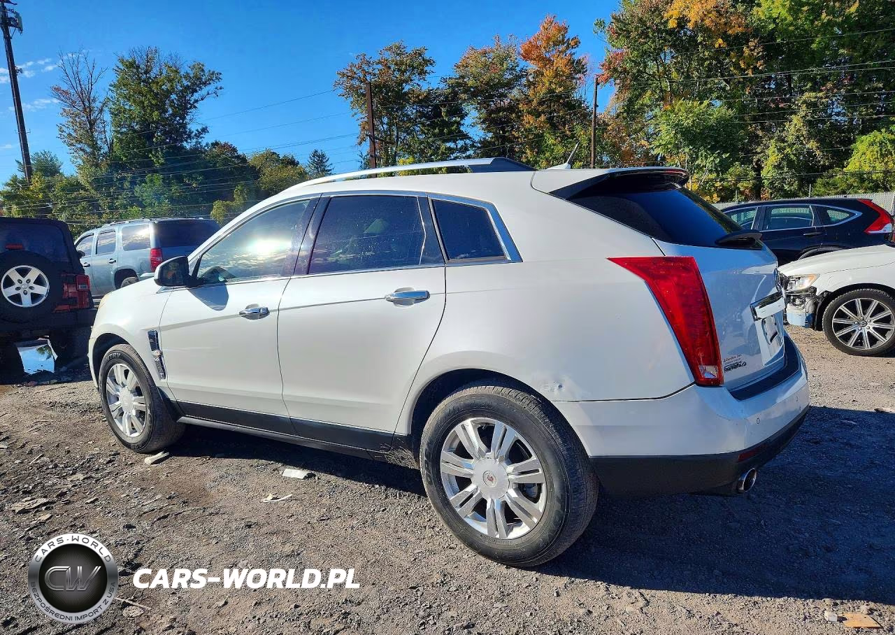 2010 Cadillac Srx Luxury Collection VIN:3GYFNDEY4AS559363 - 2