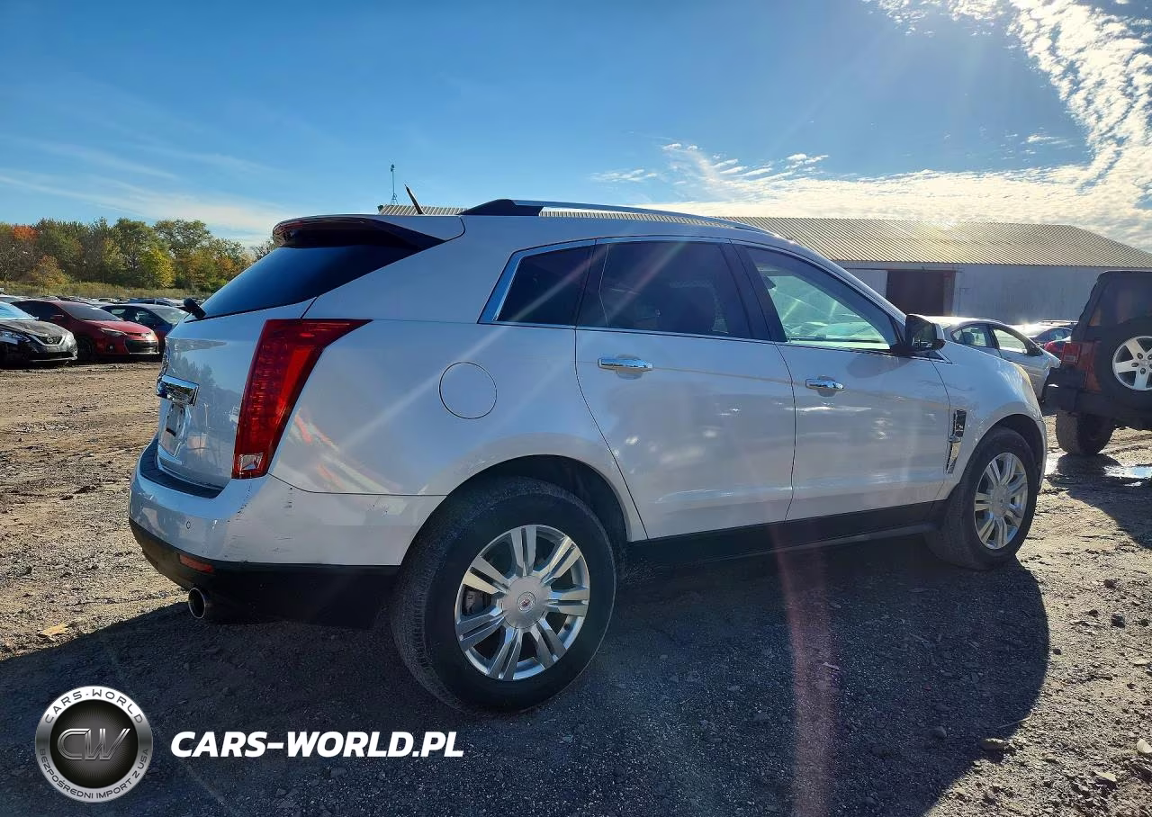 2010 Cadillac Srx Luxury Collection VIN:3GYFNDEY4AS559363 - 3