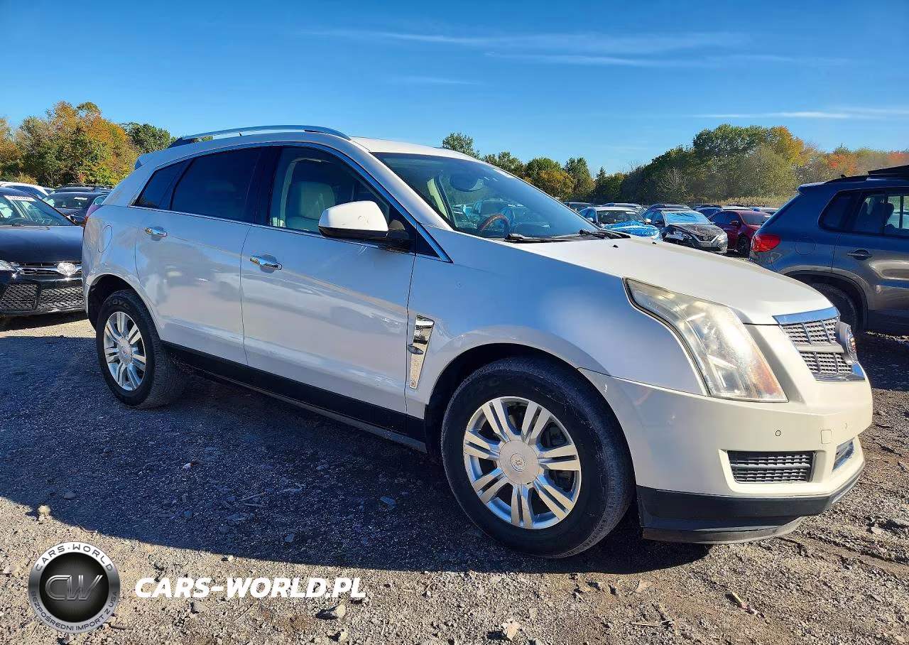 2010 Cadillac Srx Luxury Collection VIN:3GYFNDEY4AS559363 - 4