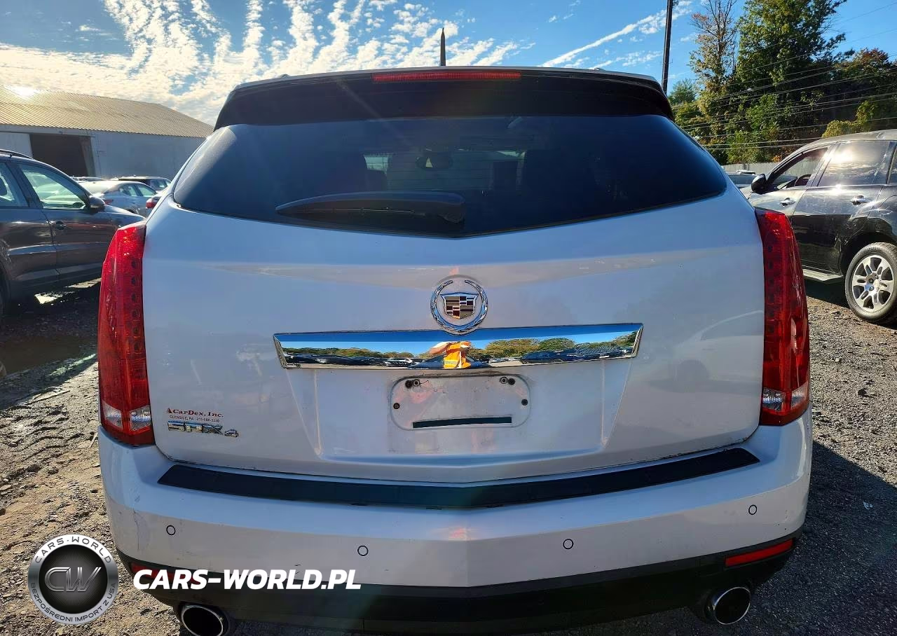 2010 Cadillac Srx Luxury Collection VIN:3GYFNDEY4AS559363 - 6