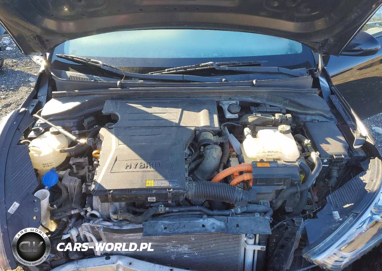 2017 Hyundai Ioniq VIN:KMHC65LC4HU022291 - 11