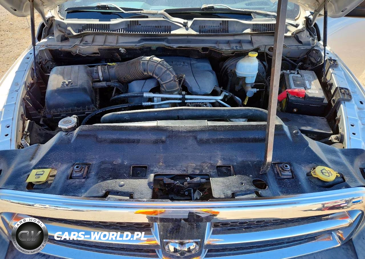2010 Dodge Ram 1500 1500 VIN:1D7RB1GT5AS209043 - 11