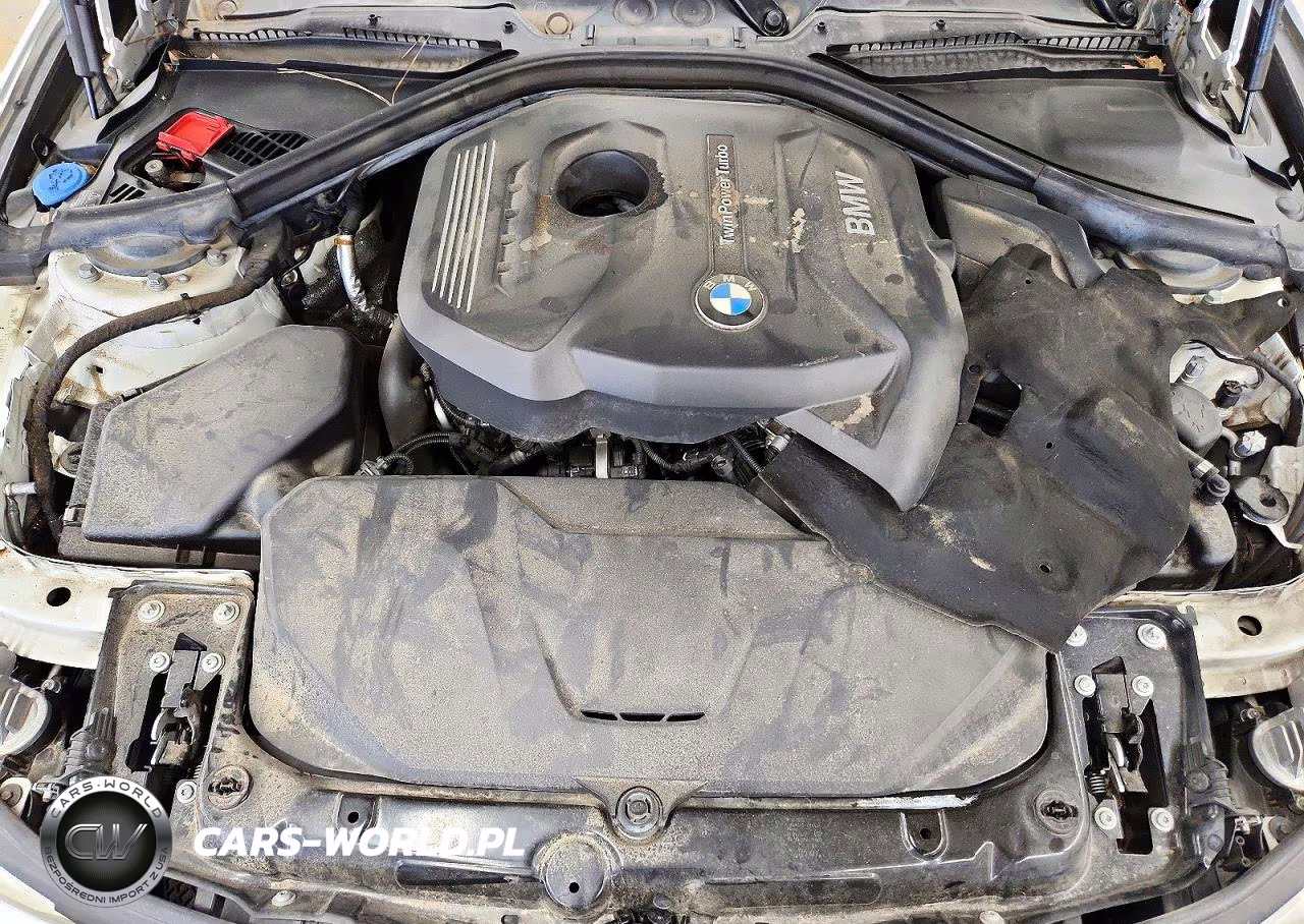 2019 BMW 430I Gran Coupe VIN:WBA4J1C53KBM13806 - 11