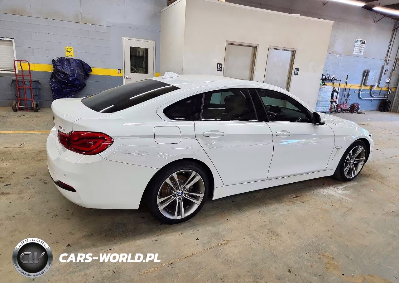 2019 BMW 430I Gran Coupe VIN:WBA4J1C53KBM13806 - 3