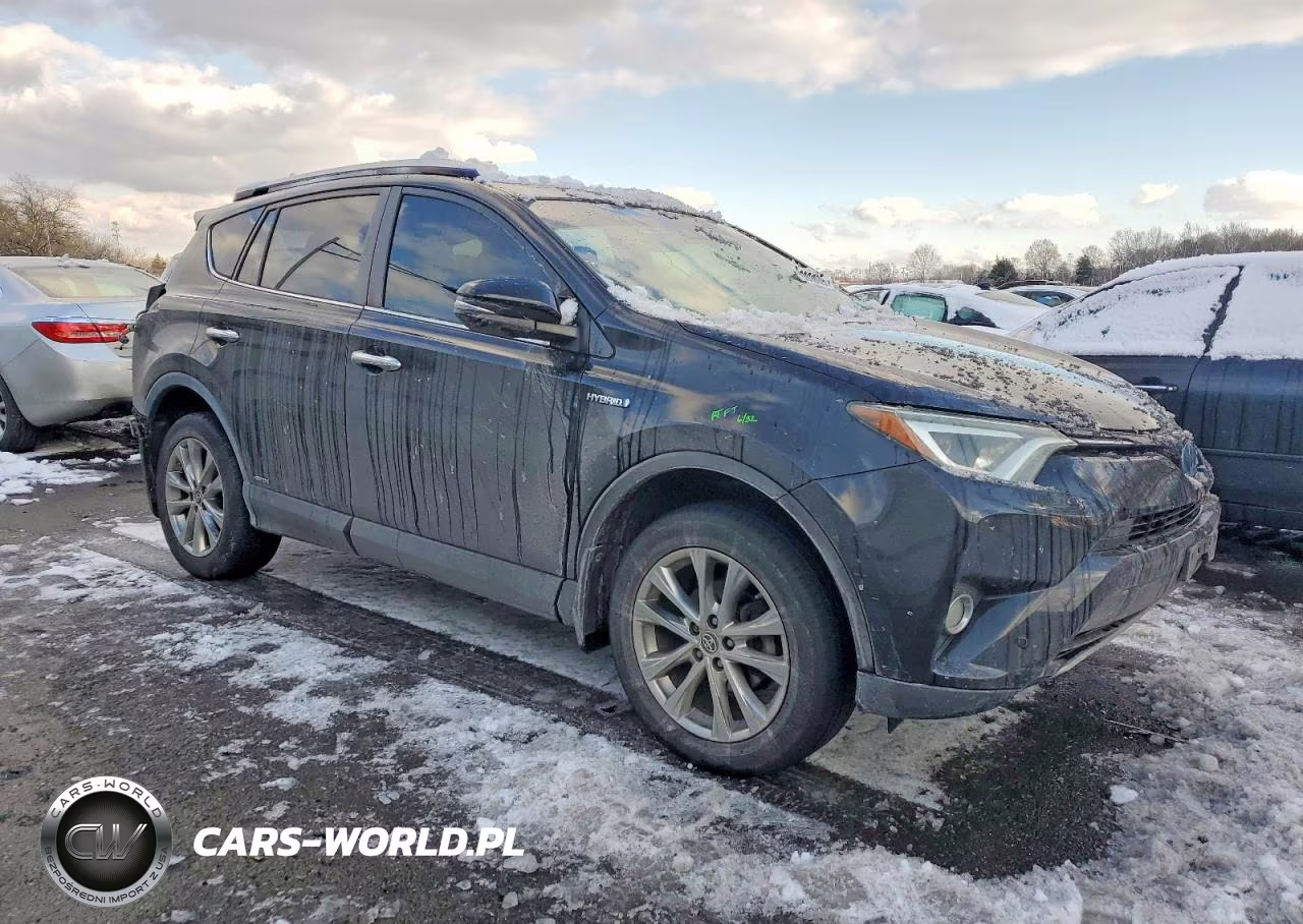 2016 Toyota Rav4 Hv Limited VIN:JTMDJREV2GD021457 - 4