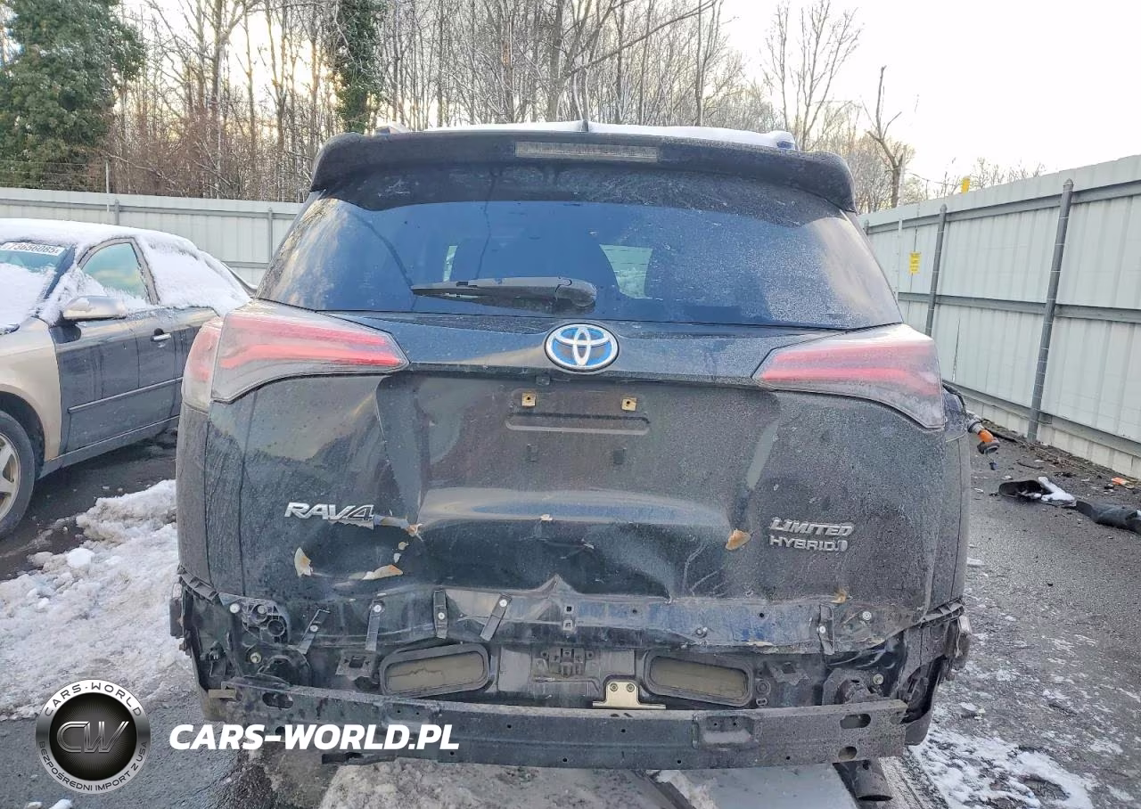 2016 Toyota Rav4 Hv Limited VIN:JTMDJREV2GD021457 - 6