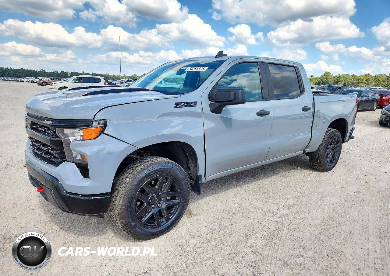 2024 Chevrolet Silverado 1500 4Wd Short Bed Custom Trail Boss VIN:3GCPDCEK9RG206781 - 1