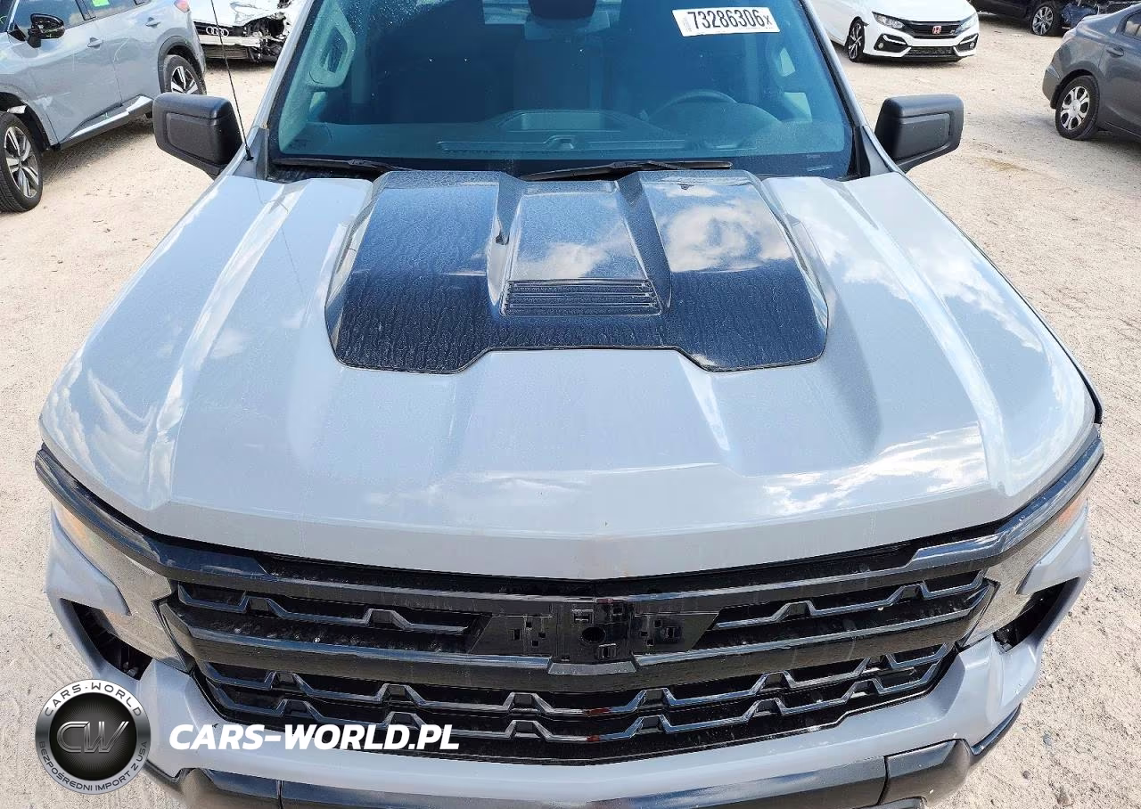 2024 Chevrolet Silverado 1500 4Wd Short Bed Custom Trail Boss VIN:3GCPDCEK9RG206781 - 11