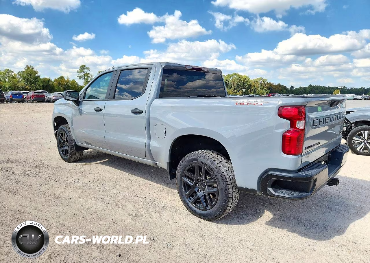 2024 Chevrolet Silverado 1500 4Wd Short Bed Custom Trail Boss VIN:3GCPDCEK9RG206781 - 2