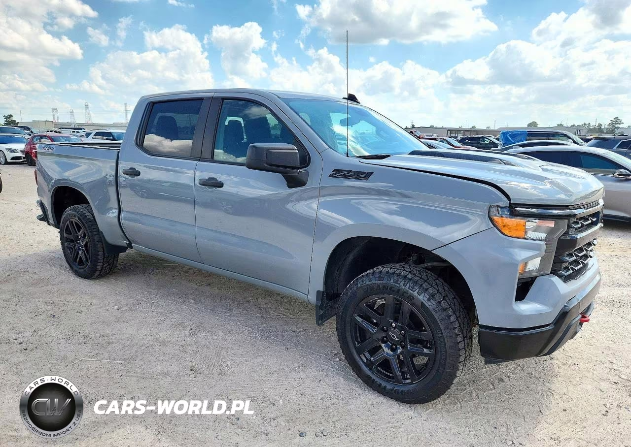 2024 Chevrolet Silverado 1500 4Wd Short Bed Custom Trail Boss VIN:3GCPDCEK9RG206781 - 4