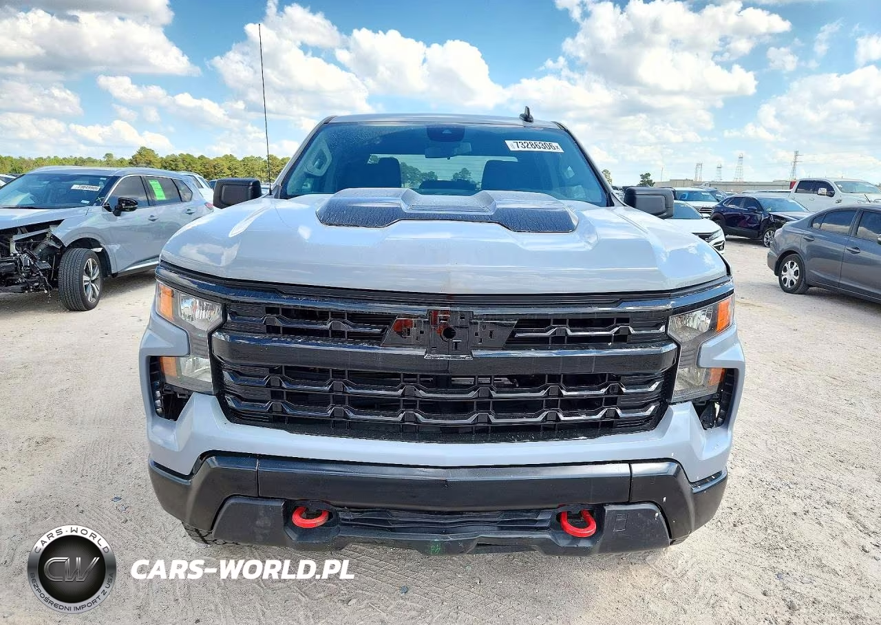 2024 Chevrolet Silverado 1500 4Wd Short Bed Custom Trail Boss VIN:3GCPDCEK9RG206781 - 5