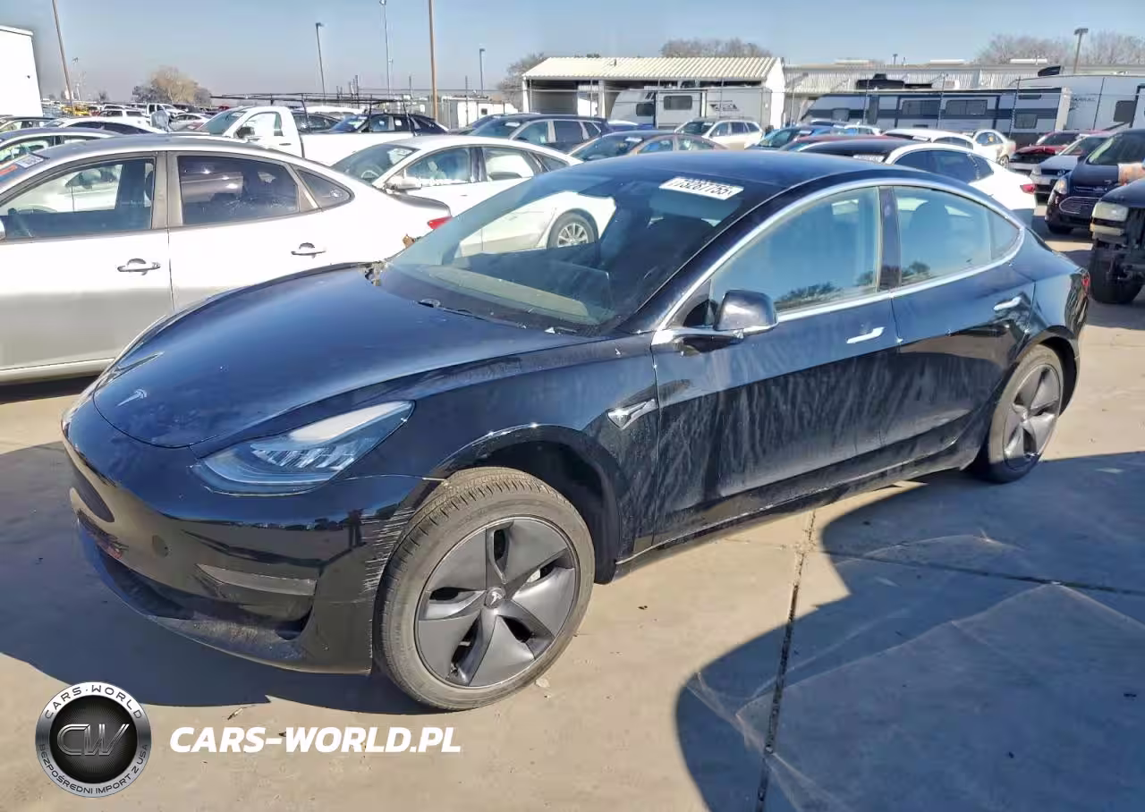 2019 Tesla Model 3