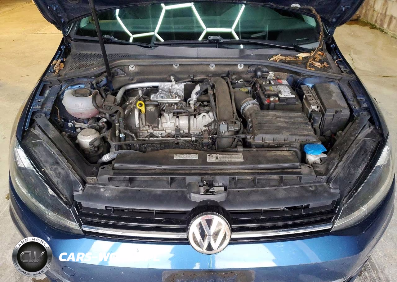 2019 Volkswagen Golf S VIN:3VWG57AU6KM010913 - 11