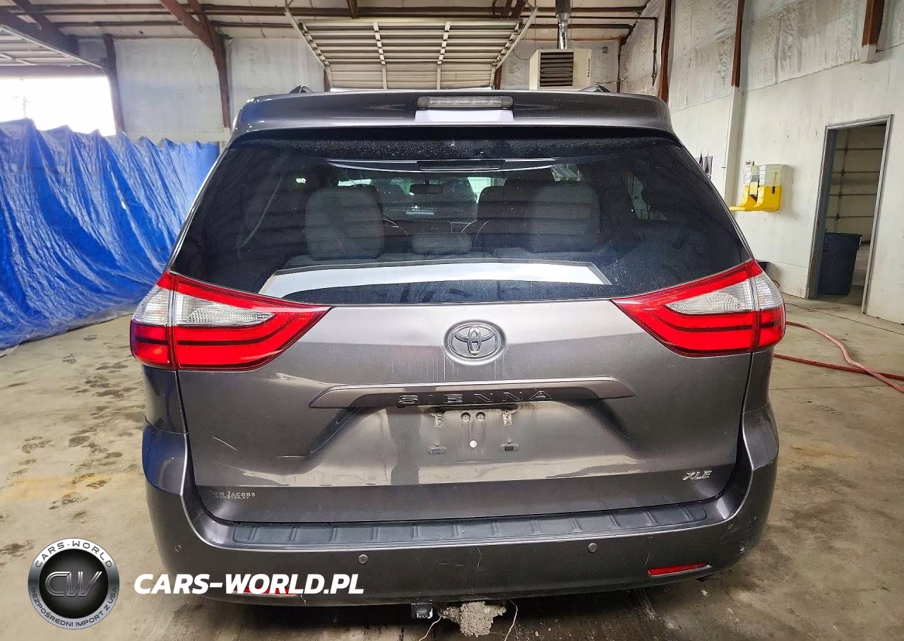 2017 Toyota Sienna Xle Premium 8-Passenger VIN:5TDYZ3DC7HS898555 - 6