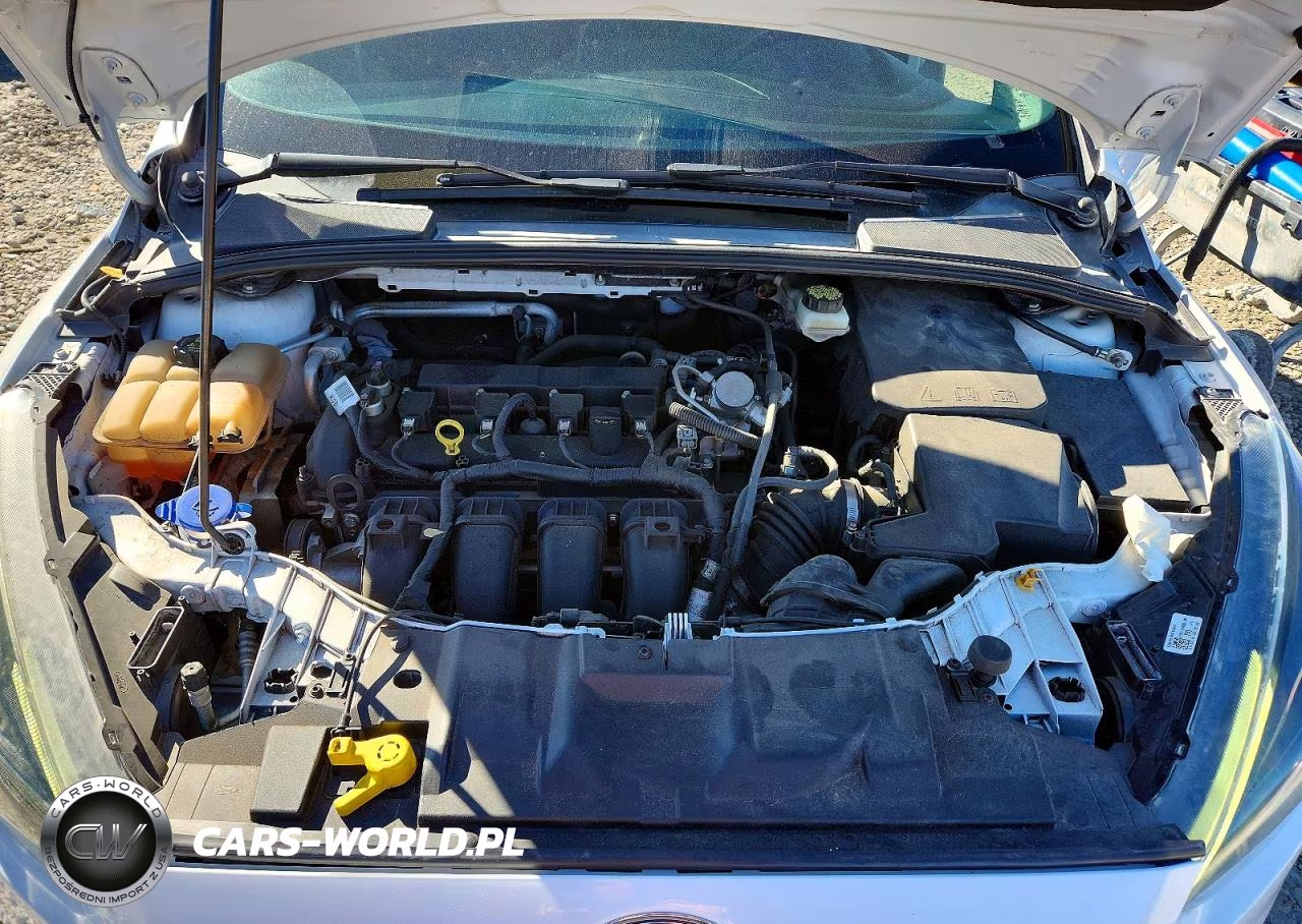 2017 Ford Focus Sel VIN:1FADP3H26HL230159 - 11