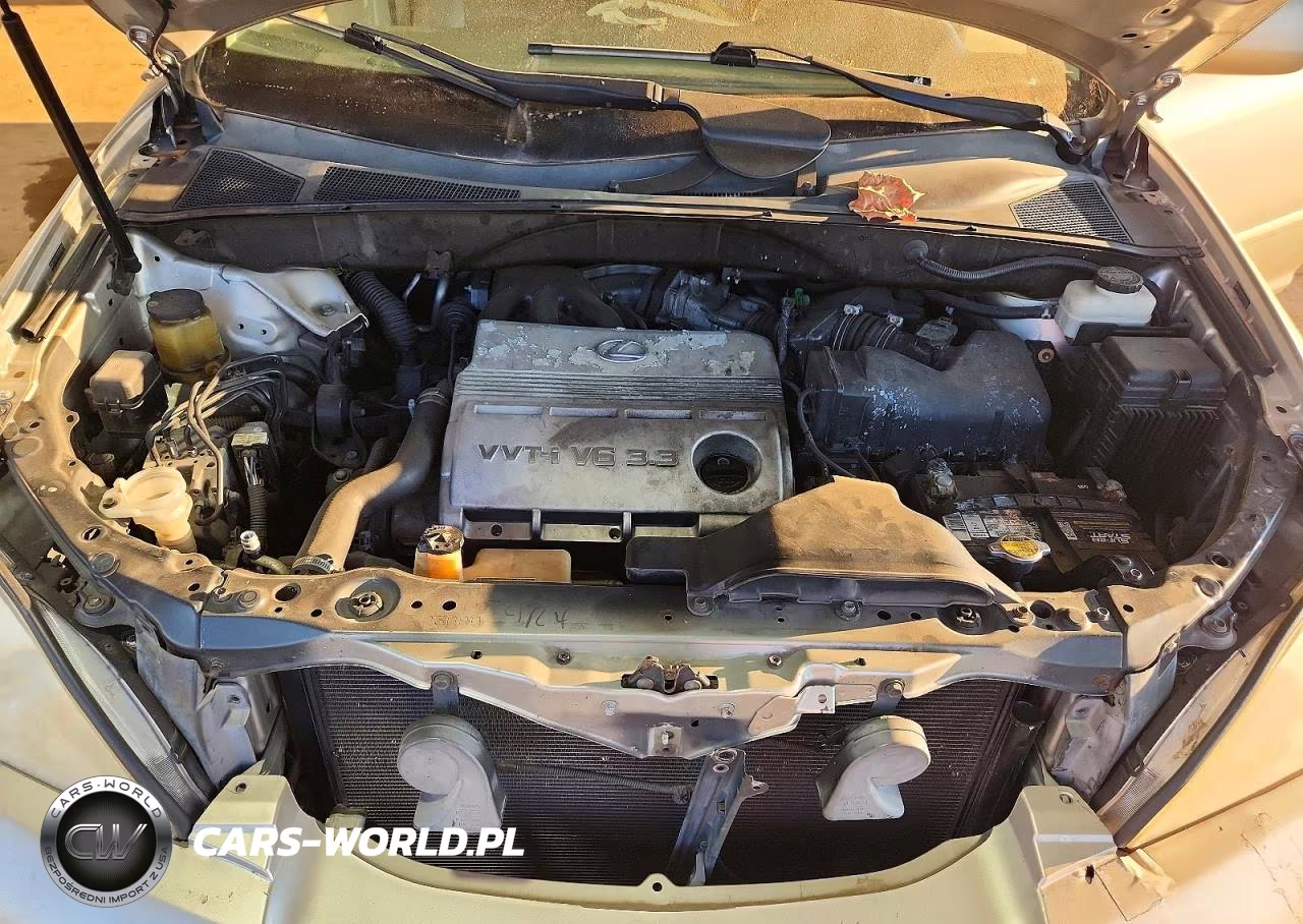 2005 Lexus Rx 330 VIN:2T2GA31U55C040694 - 12