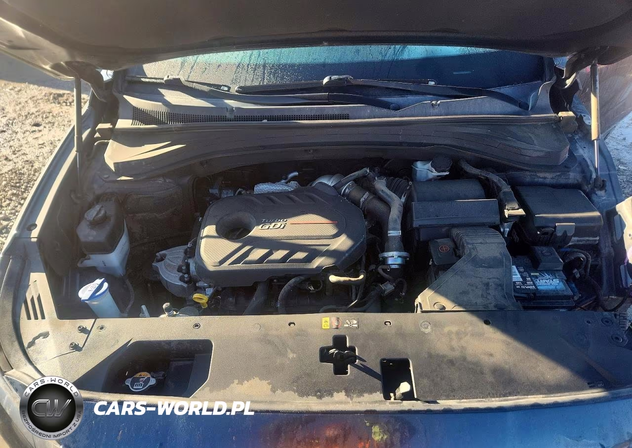 2020 Hyundai Santa Fe Sel 2.0T VIN:5NMS3CAA0LH270228 - 11