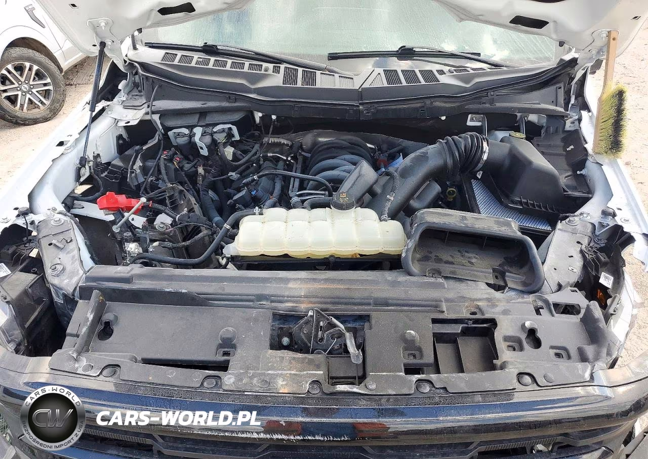 2025 Ford F-150 Xlt VIN:1FTFW3L53SKE44742 - 11