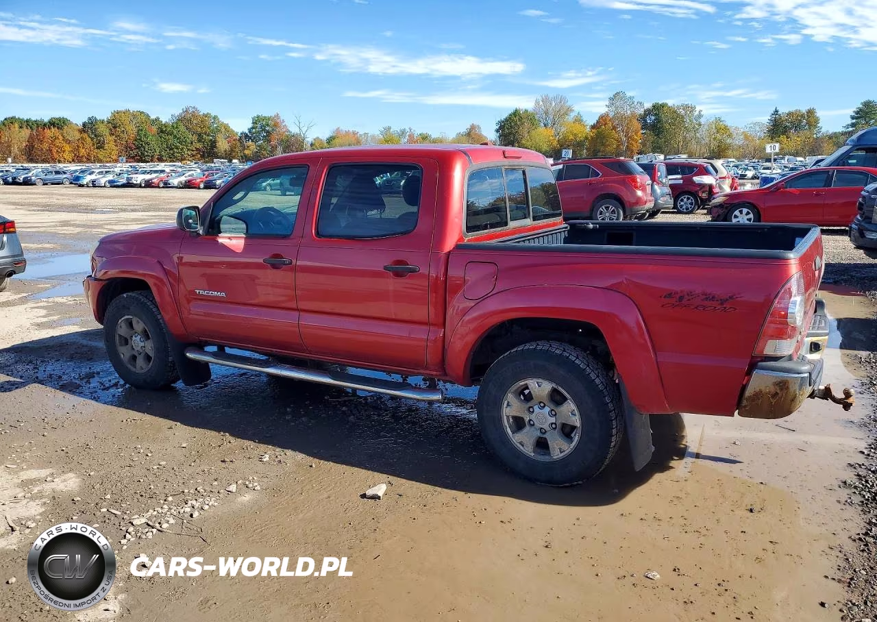 2009 Toyota Tacoma V6 VIN:5TELU42N39Z601921 - 2