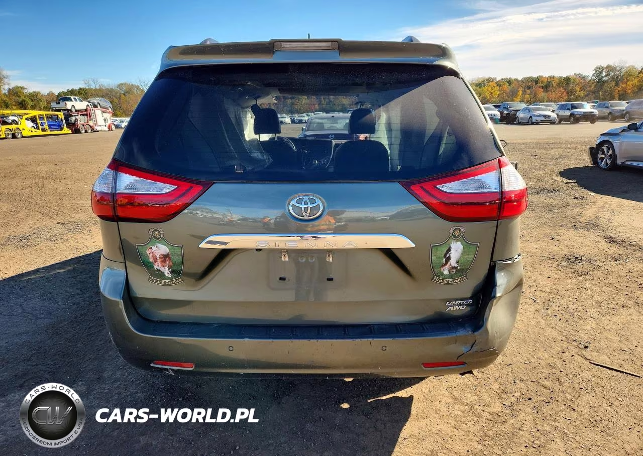 2018 Toyota Sienna Limited Premium 7-Passenger VIN:5TDDZ3DC9JS197715 - 6