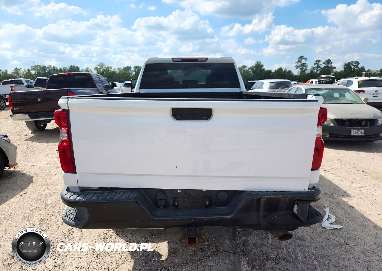 2020 Chevrolet Silverado C2500 Heavy Duty VIN:1GC2WLE73LF286118 - 6
