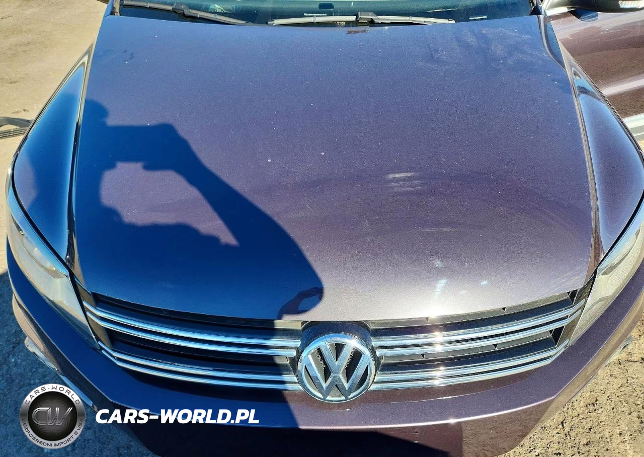 2016 Volkswagen Tiguan S VIN:WVGAV7AX0GW546603 - 12