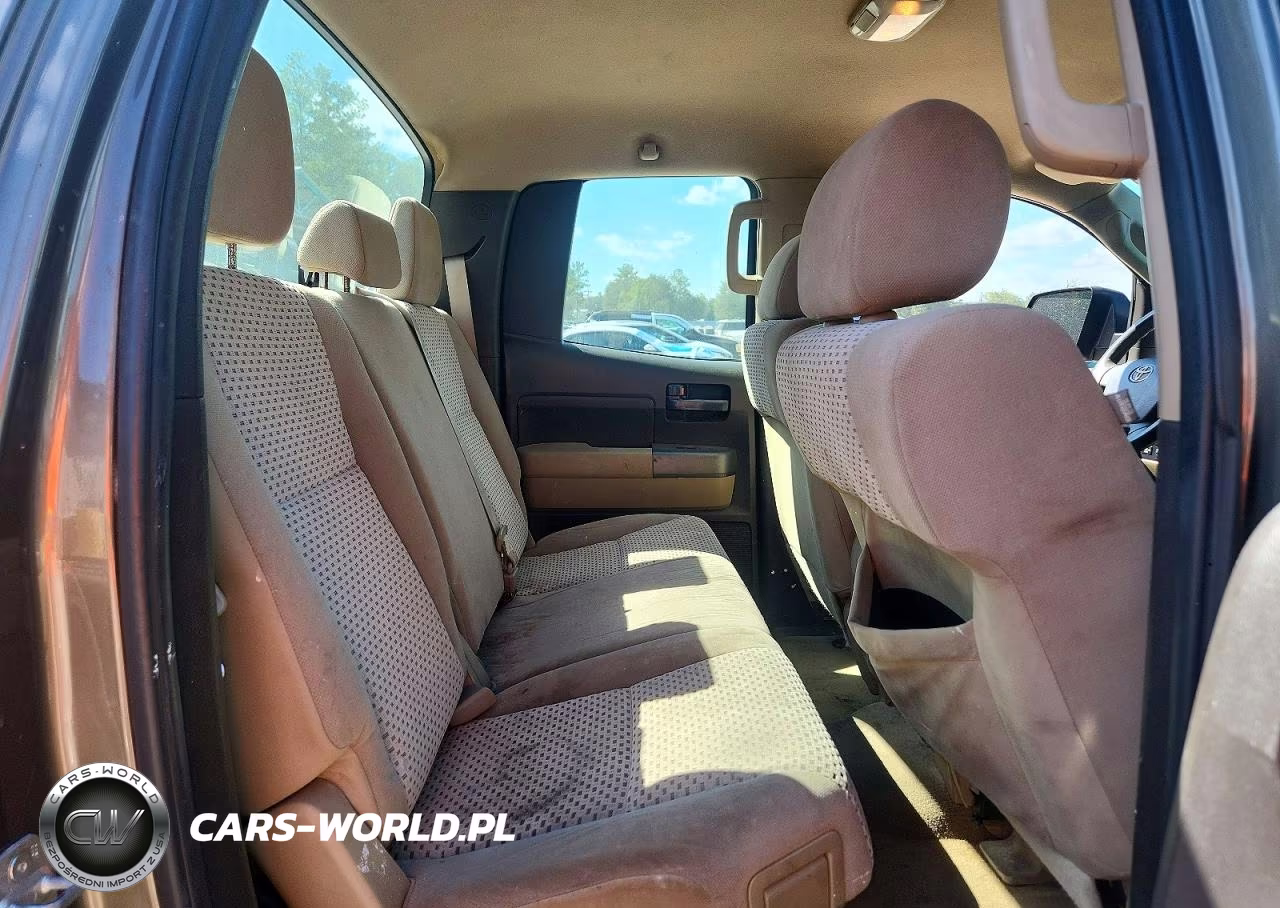2010 Toyota Tundra Double Cab Sr5 VIN:5TFRY5F15AX091997 - 10
