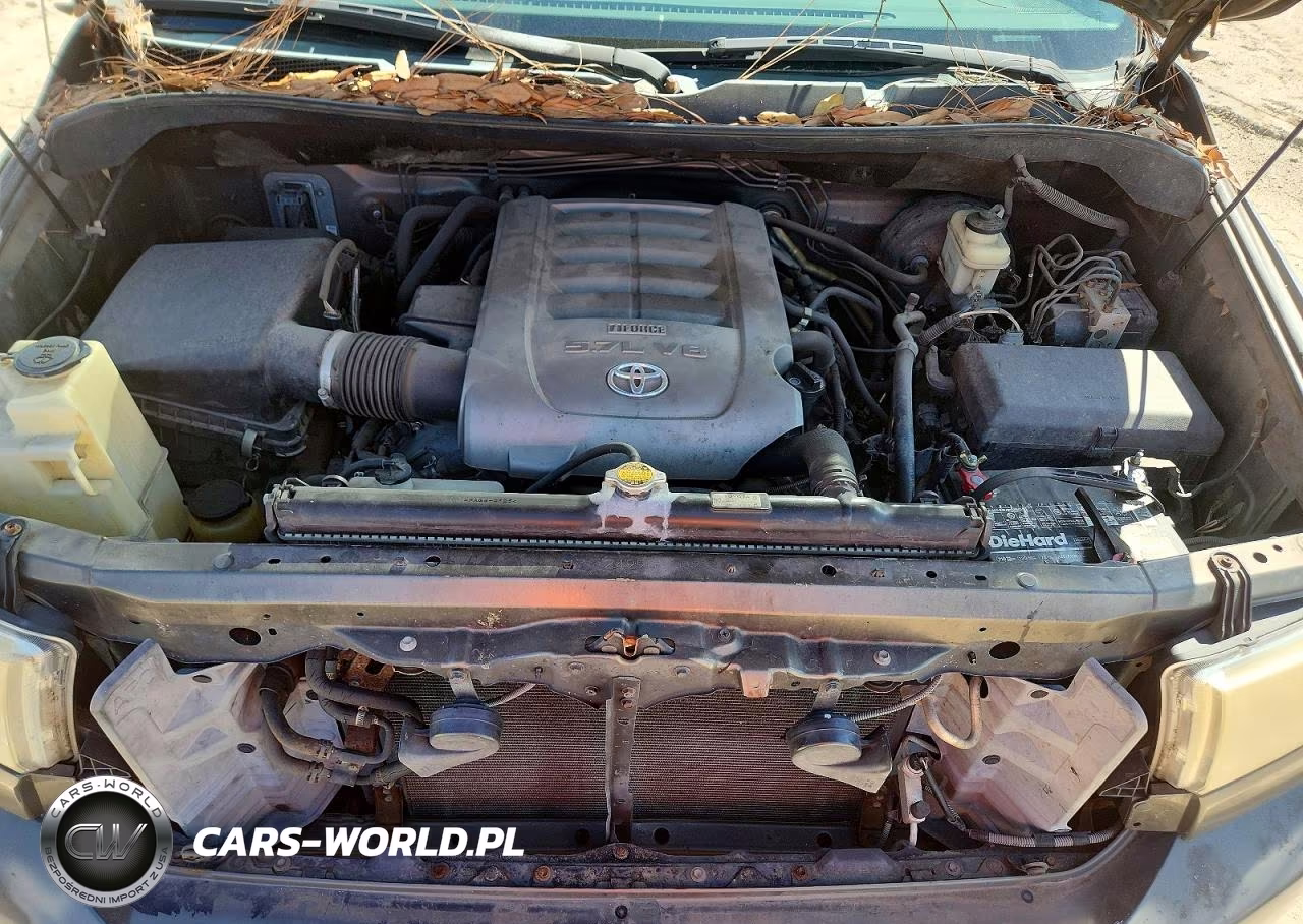 2010 Toyota Tundra Double Cab Sr5 VIN:5TFRY5F15AX091997 - 11